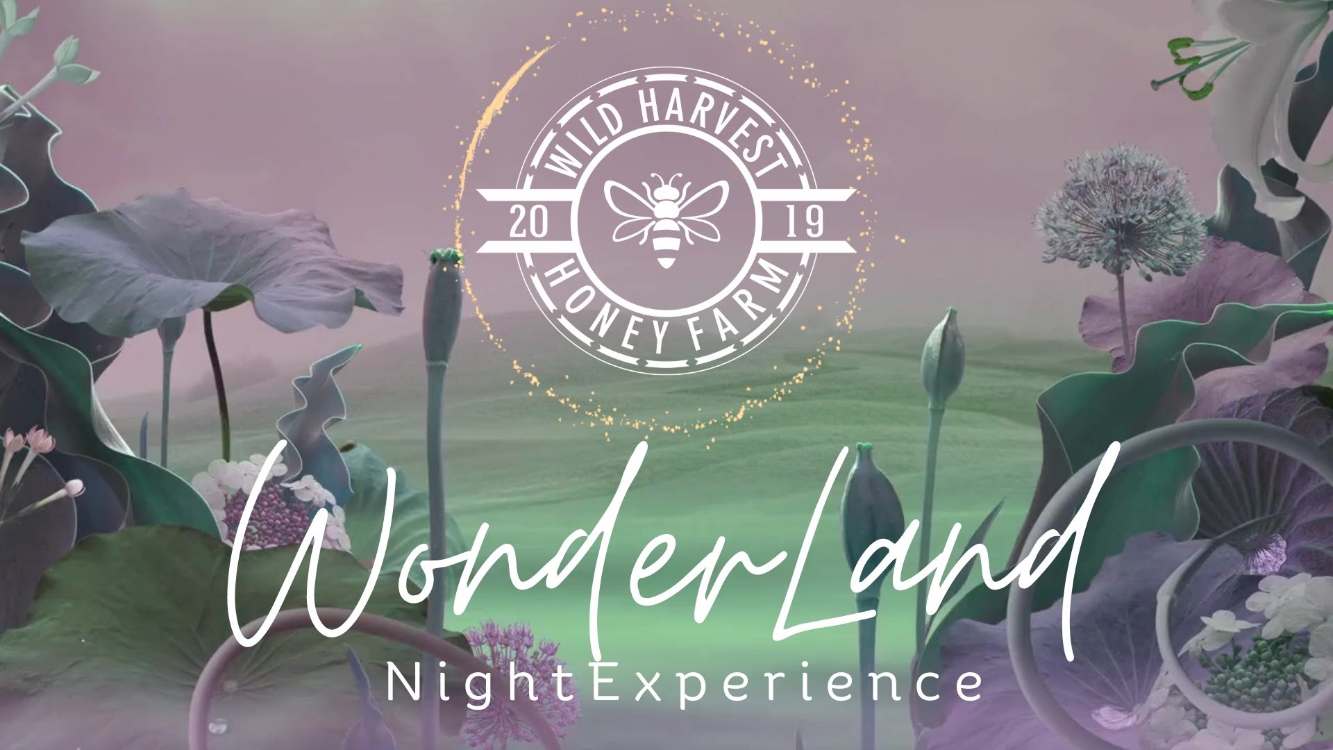 The Wonder Land Glow Experience
