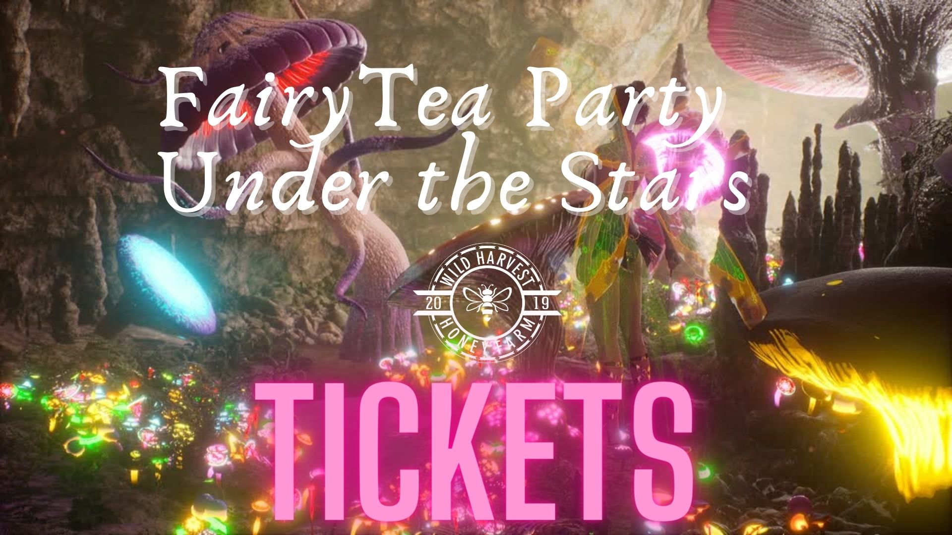 Fairy Tea Party Under the Stars