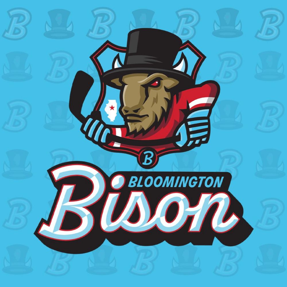 Bloomington Bison Vs. Kalamazoo Wings (Sunday Family Fun Day)