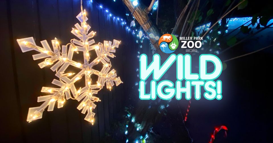 Wild Lights at the Zoo