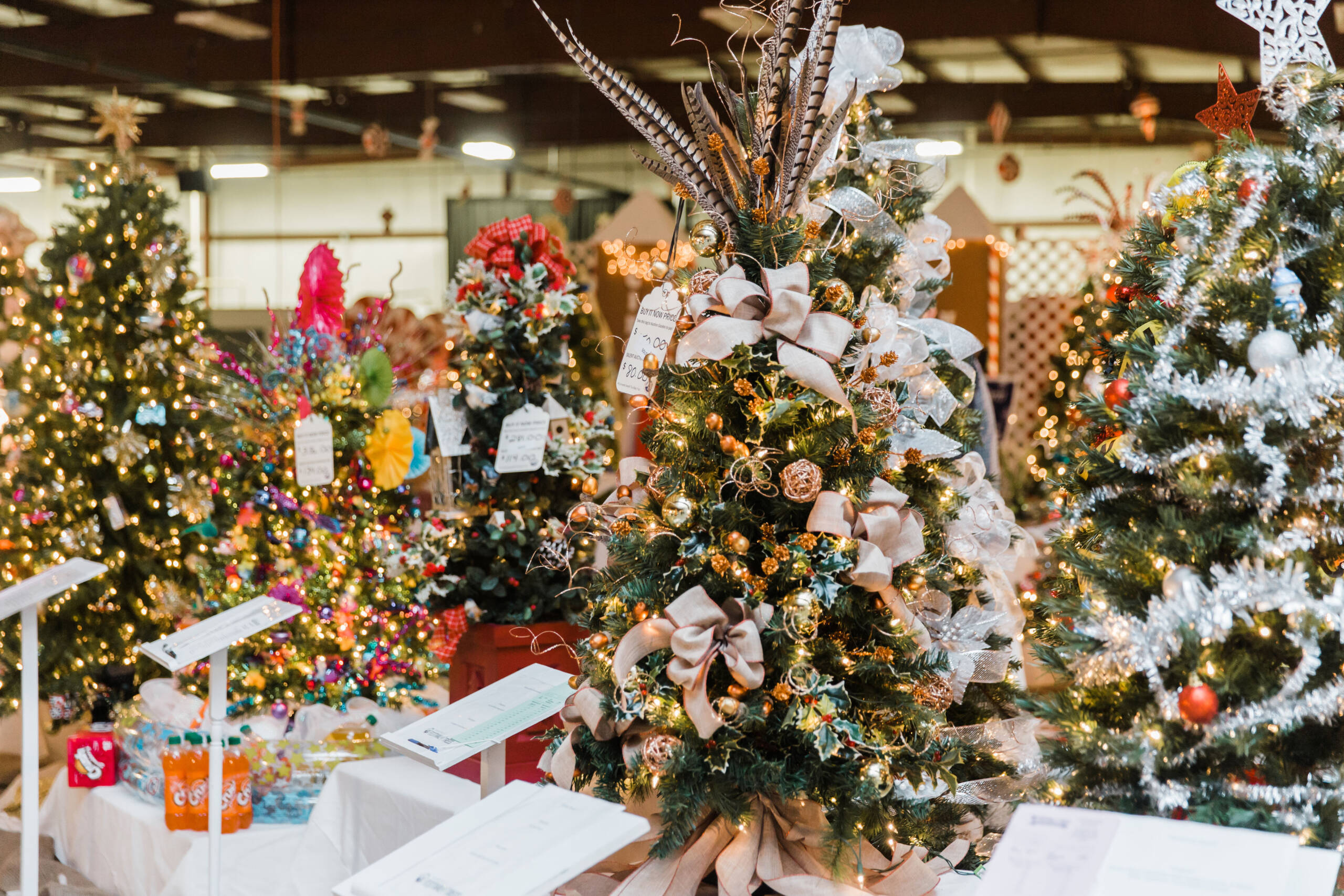 The Baby Fold's Festival of Trees