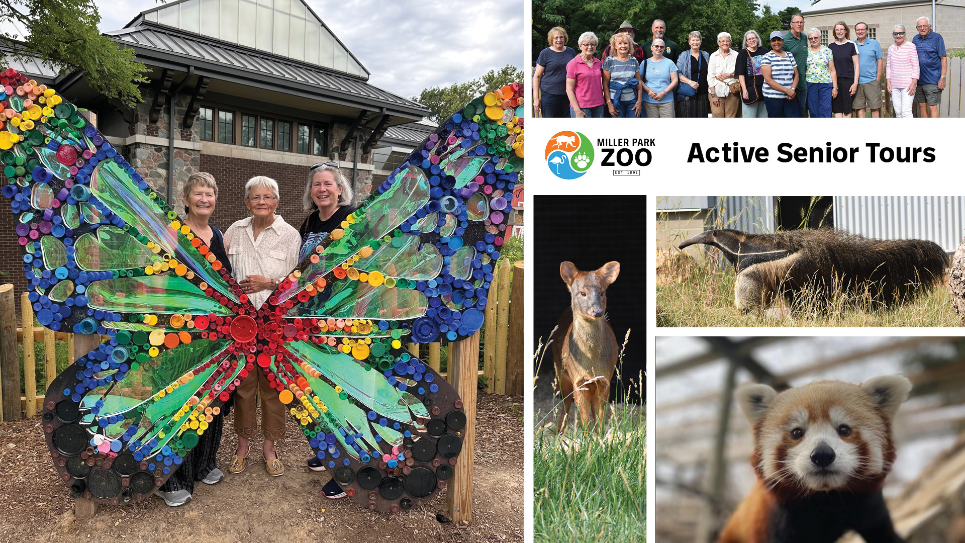 Senior Tours at the Zoo