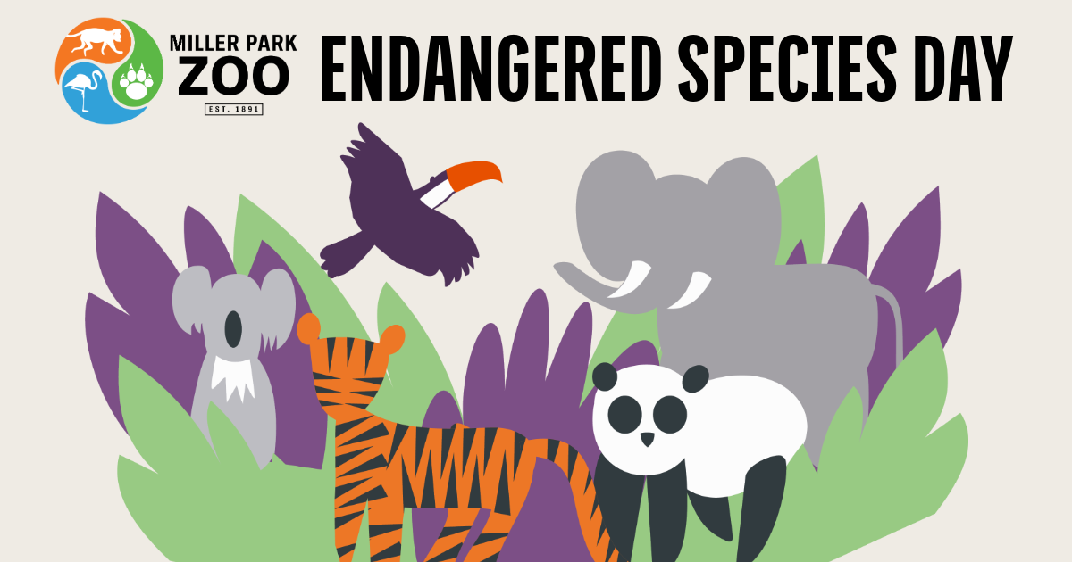 Endangered Species Day