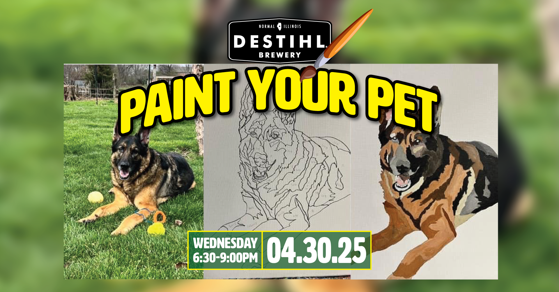 Paint Your Pet