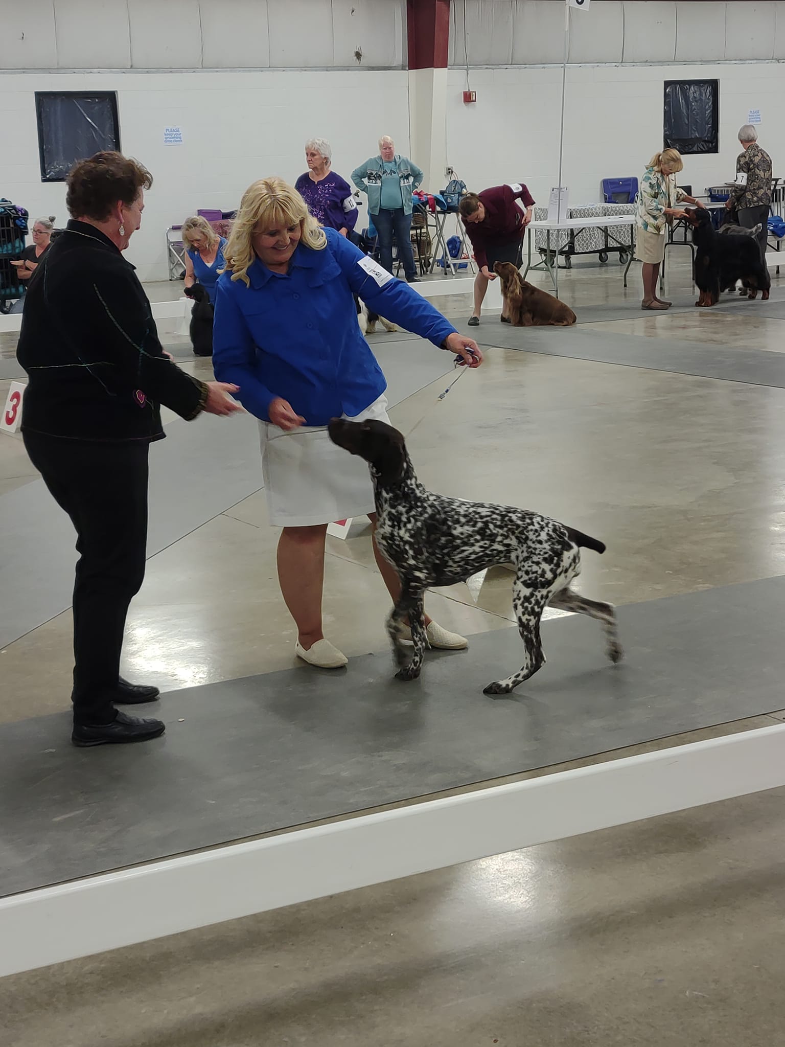 Illinois Cluster of Dog Shows